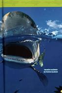 Image result for Medium Sharks National Geographic