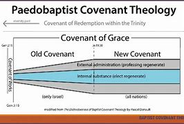 Image result for Diagram of Baptist Covenant Theology