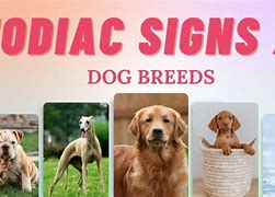 Image result for What Are the Zodiac Signs Animals