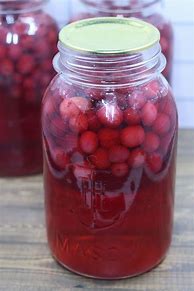 Image result for Cranberry Juice Recipes