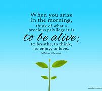 Image result for Life Quotes Positive Vibes