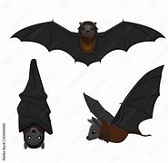 Image result for Swing Bat Poses