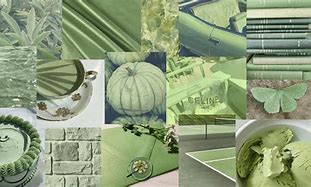 Image result for Sage Green Fen