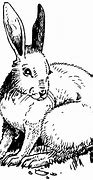 Image result for Disinterested Hare Clip Art