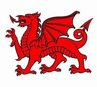 Image result for Welsh Dragon Border