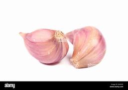 Image result for Cloves Vs. Garlic Cloves