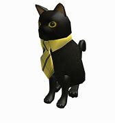 Image result for Max Cat Roblox