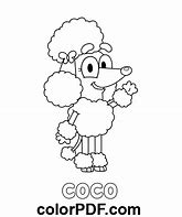 Image result for Bluey Poodle