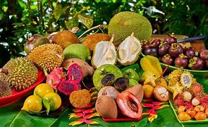 Image result for Exotic Fruit Farm