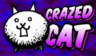 Image result for Crazed Lion Cat