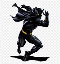 Image result for Marvel Heroes Black Panther