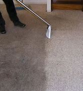 Image result for Carpet Steaming