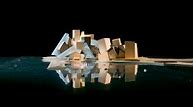 Image result for Frank Gehry Abu Dhabi