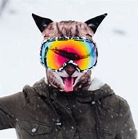 Image result for Drawing of Cat with Ski Mask