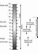 Image result for Ph Scale for Soil