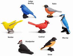 Image result for Backyard Birds Toob