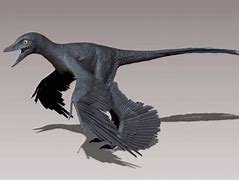 Image result for Winged Dinosaurs