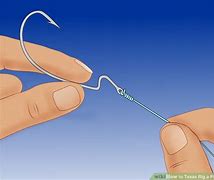 Image result for Texas Rig Worm