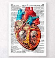 Image result for Geometric Anatomical Heart