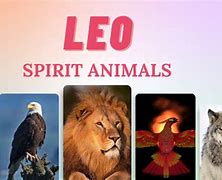 Image result for Spirit Animals for Zodiac Signs