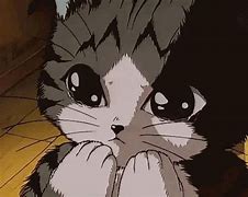 Image result for Sad Animie Cat