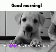 Image result for Funny Good Morning Puppy