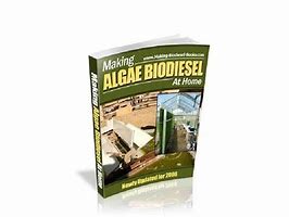 Image result for Algae Book