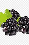 Image result for Free Clip Art Blackberries