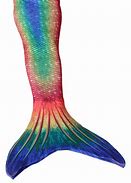 Image result for Mermaid Tail Skin