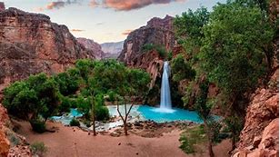 Image result for Beautiful Desert Oasis