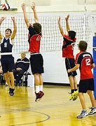 Image result for Dragons Volleyball