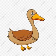 Image result for Gambar Hewan Bebek