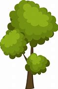 Image result for Pokok Kartun PNG