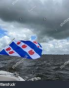 Image result for De Flag Van Grouw