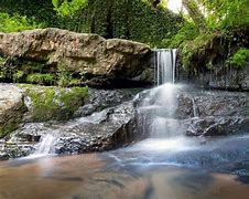 Image result for Wittlinger Nature Preserve