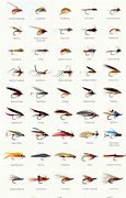 Image result for Fly Fishing Flies