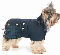 Image result for Dog Kilt