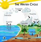 Image result for Groundwater Cycle