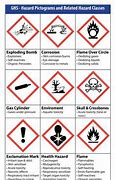 Image result for Pictogram Chemical Labels