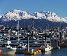 Image result for Homer Alaska Things to Do