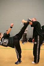 Image result for Krav Maga Kick