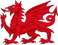 Image result for Wales Dragon Animal