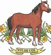 Image result for Welsh Cob Head