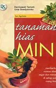 Image result for Tanaman Hias Mini