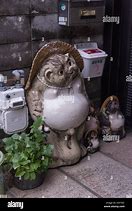 Image result for Tanuki Garden Statue