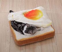 Image result for Bread Cat Bed