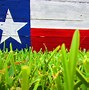 Image result for 9Mm Texas Flag Slide