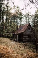 Image result for Old Cabin Bedroom