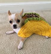 Image result for Taco Cat Costume