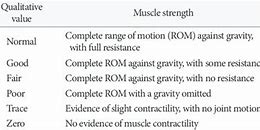 Image result for Break Test MMT Grading